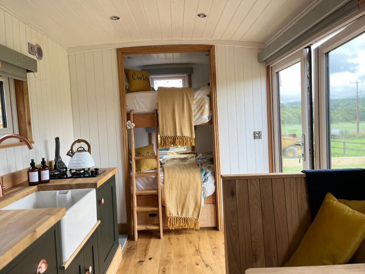 Campsite Cwtch Cader Shepherds Hut