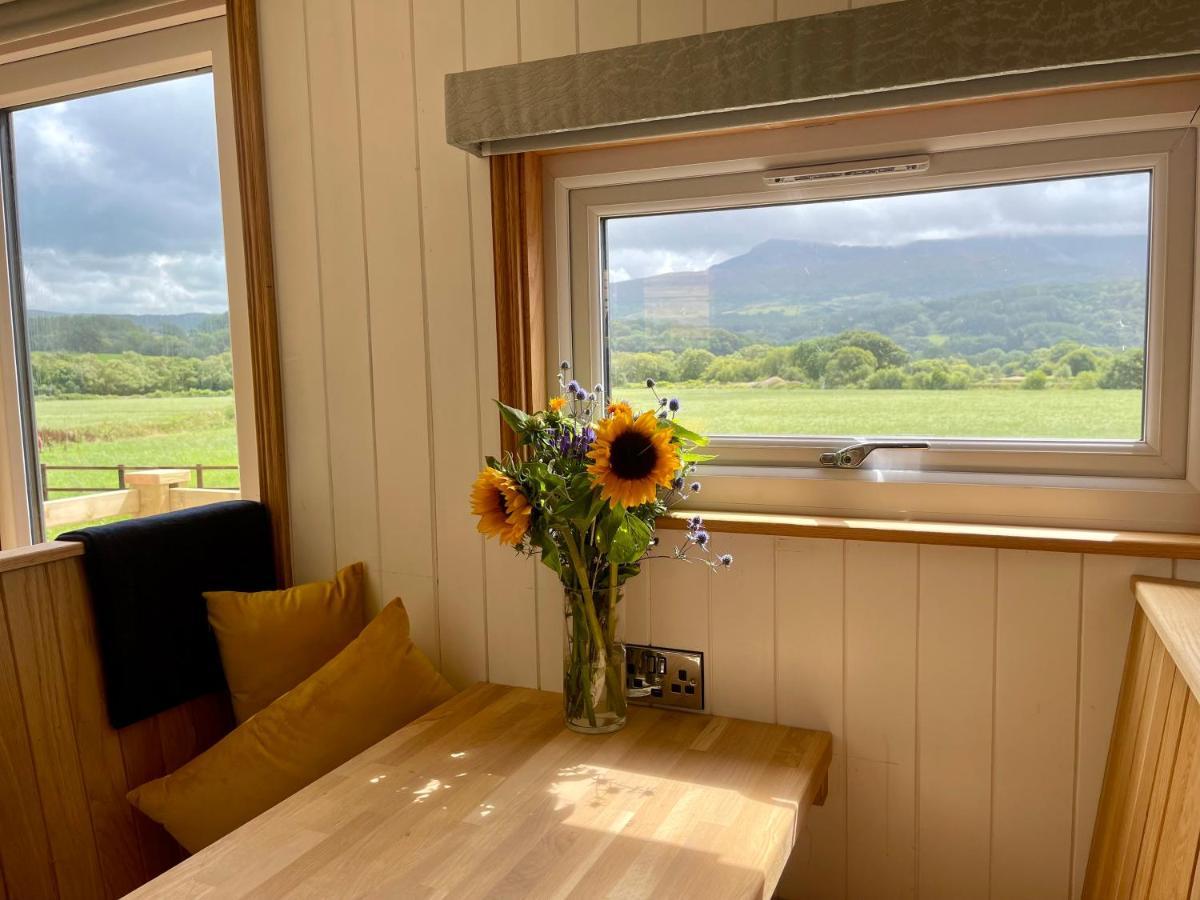 Campsite Cwtch Cader Shepherds Hut
